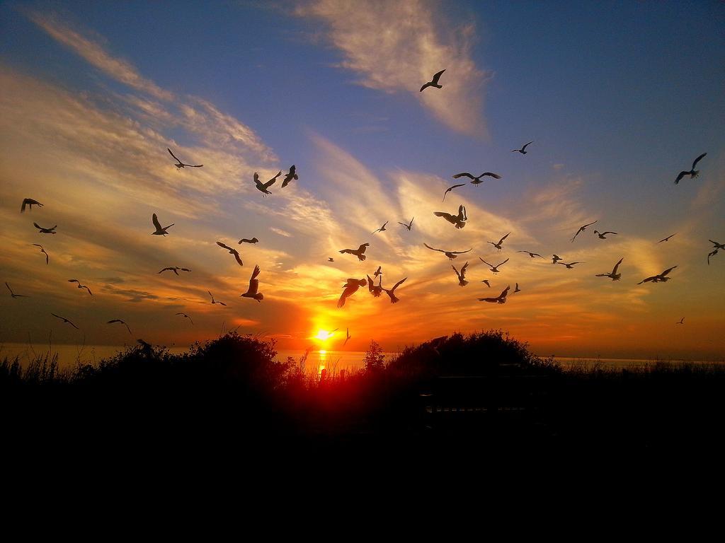 Sunset Guest House Hunstanton Bagian luar foto Sunset at the beach