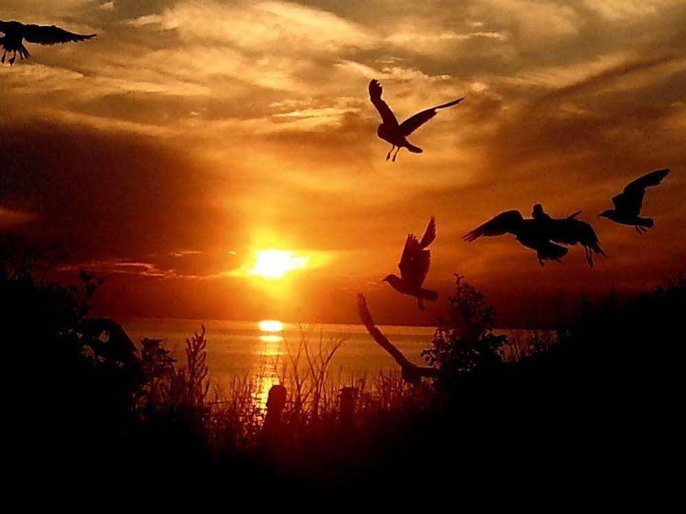 Sunset Guest House Hunstanton Bagian luar foto Sunset at the beach